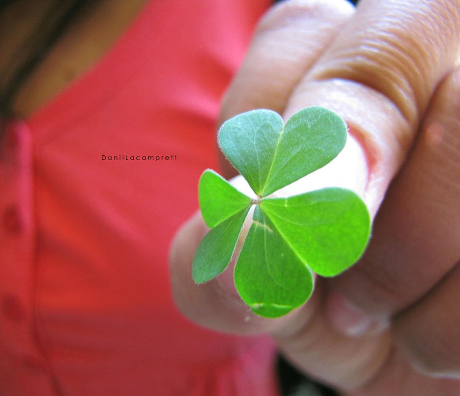 Luck Df Luck by DaniiLacamprett on DeviantArt
