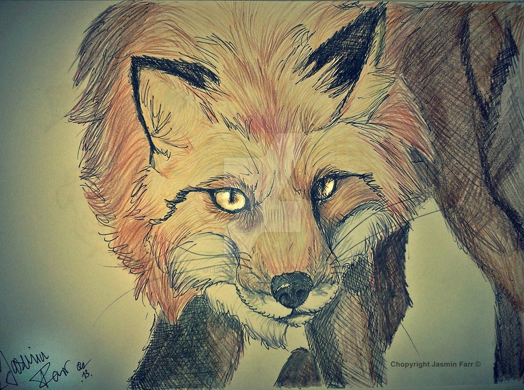 Fox-Redressed