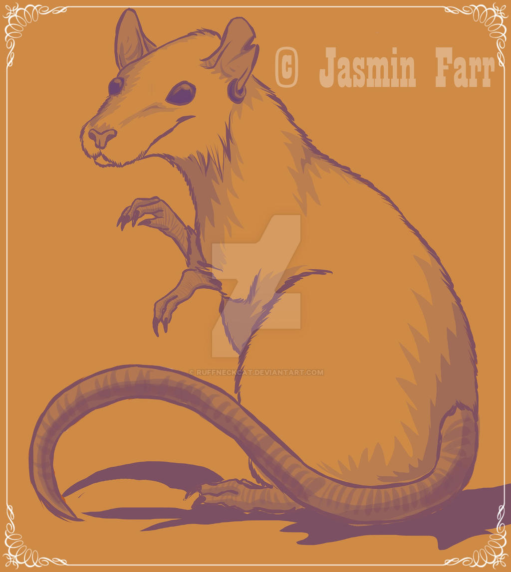 Ratface