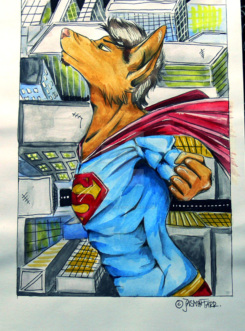 Super-Cat