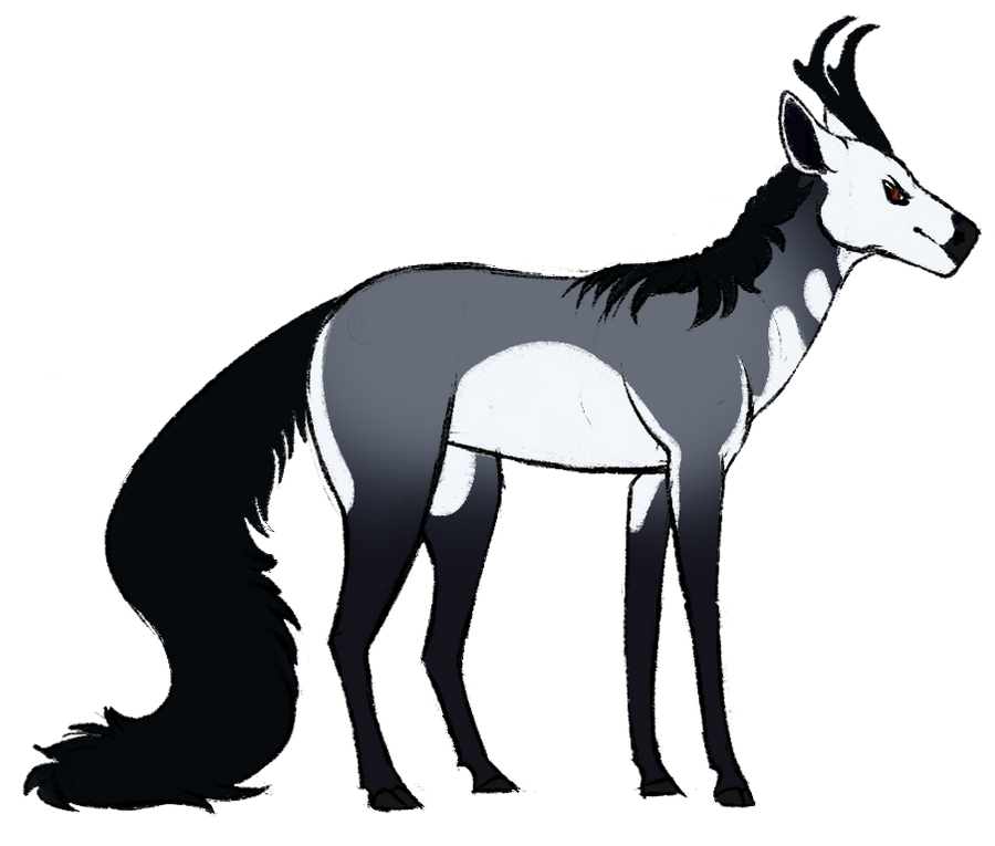 BVG's Big Bang | Colt | Saddle Type