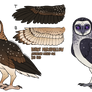 Tyto Adopts #1 (0/2)