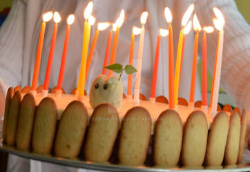 Totoro's Cake
