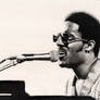 Stevie Wonder