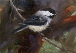 Chickadee 8 by JoeyBee60