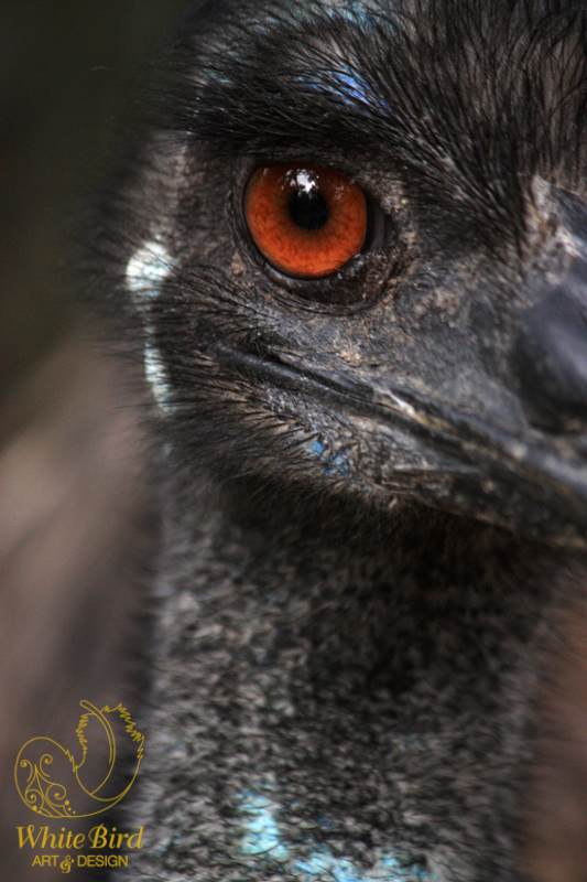 Emu Smile