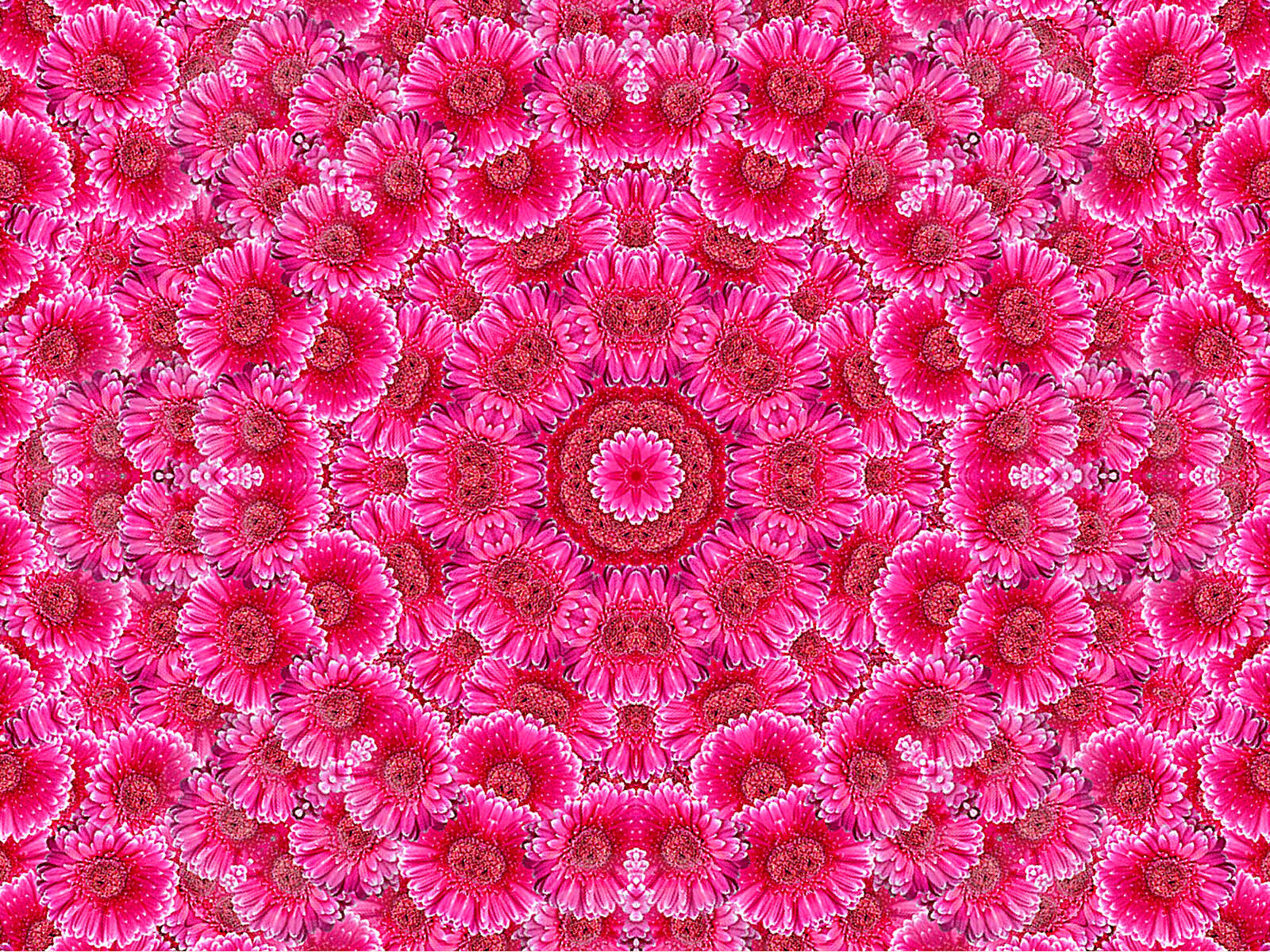 Mandala Pink Flowers by Rangutan on DeviantArt
