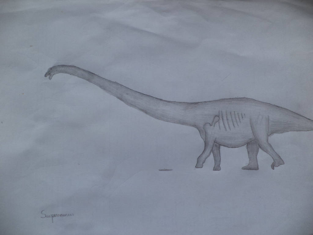Supersaurus by Likosaurus