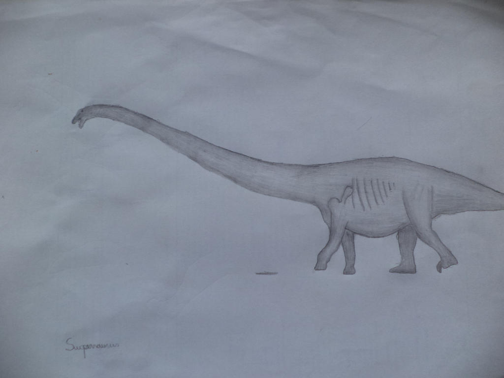 Supersaurus