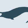 Undescribed Mosasaur Pivot Stick