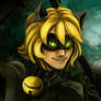 Cat Noir