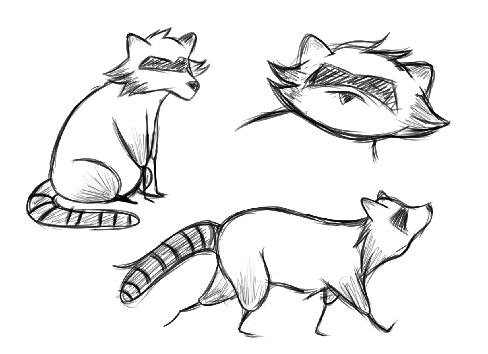 Different Art Mediums Raccoon