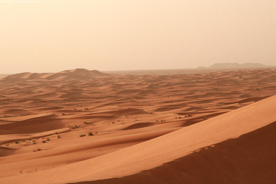 Desert 02