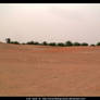 Desert 010