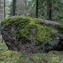 Rock