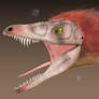 Sinornithosaurus...