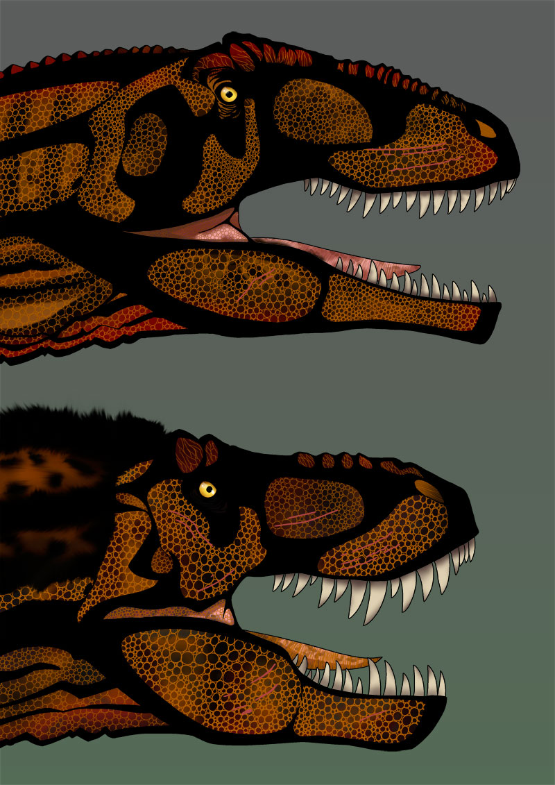 Version Final De T Rex Vs Giganotosaurus By Christopher252 On Deviantart Version Final De T Rex Vs Giganotosaurus By Christopher252 On Deviantart