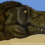 Tarbosaurus pintado