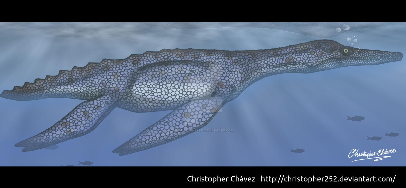 Trinacromerum