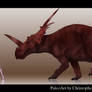 Styracosaurus