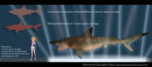 Helicoprion bessonovi by Christopher252