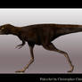 Pollito de Tarbosaurus