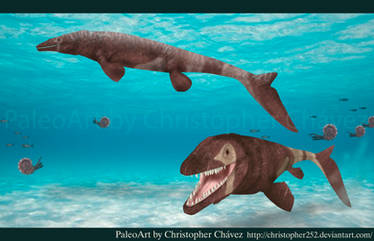 Prognathodon