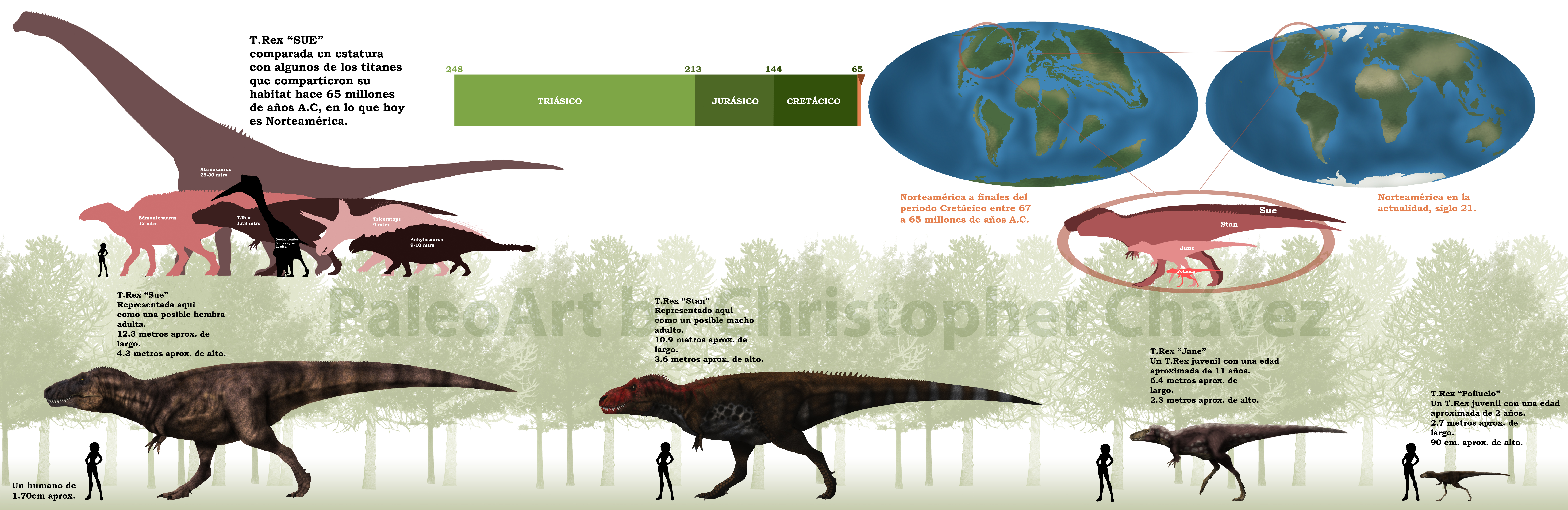 Lamina comparativa T.Rex.