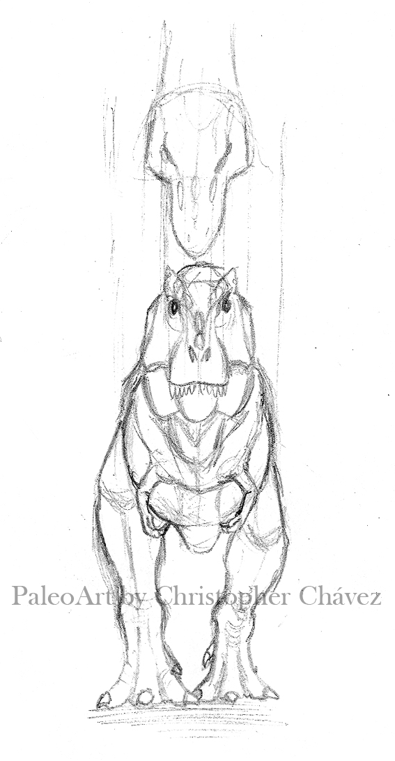 Sketch De T Rex By Christopher252 On Deviantart Sketch De T Rex By Christopher252 On Deviantart