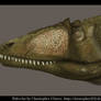 Carcharodontosaurus skull color