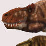 Comparacion craneo entre Tyrannosaurus y Lythronax