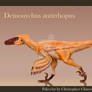 Deinonychus antirrhopus