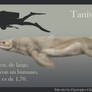 Taniwhasaurus antarcticus