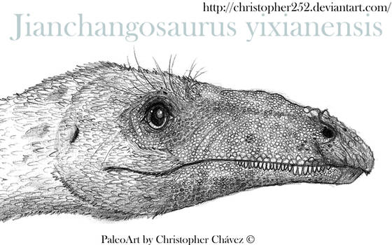 Jianchangosaurus yixianensis