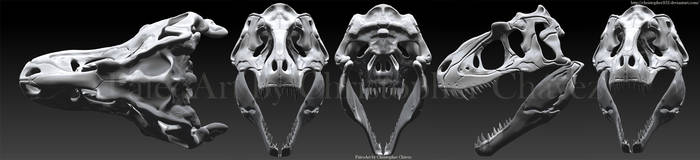 Skull Lythronax argestes