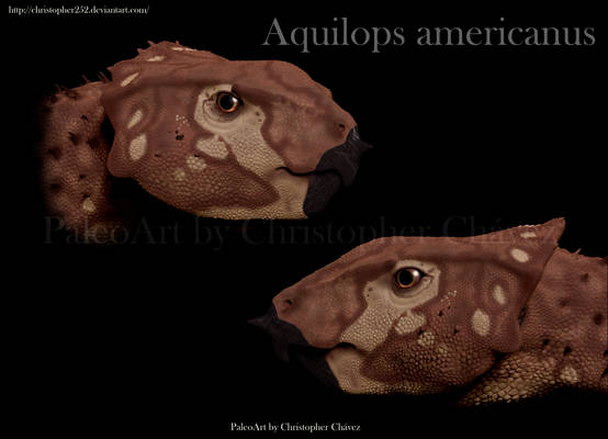 Aquilops americanus