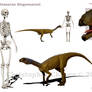 Chilesaurus diegosuarezi