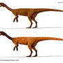 Polimorfismo Chilesaurus