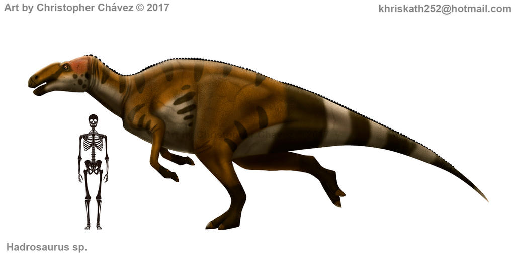 Hadrox Image Hadrosaurus sp. by Christopher252 on DeviantArt