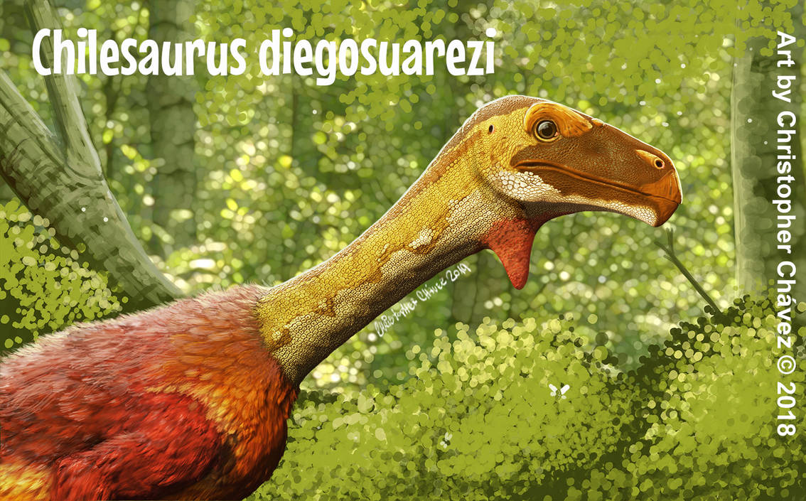Chilesaurus diegosuarezi by Christopher252 on DeviantArt