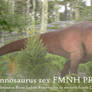 Tyrannosaurus rex FMNH PR 2081 (Sue)