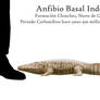Approximate size tetrapod