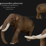 Gomphotheriidae (Stegomastodon platensis)