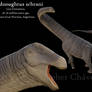 Dreadnoughtus schrani