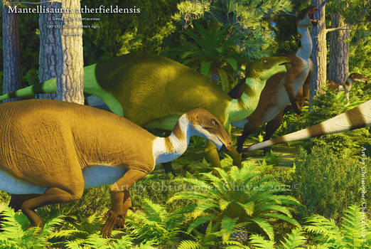 Mantellisaurus atherfieldensis