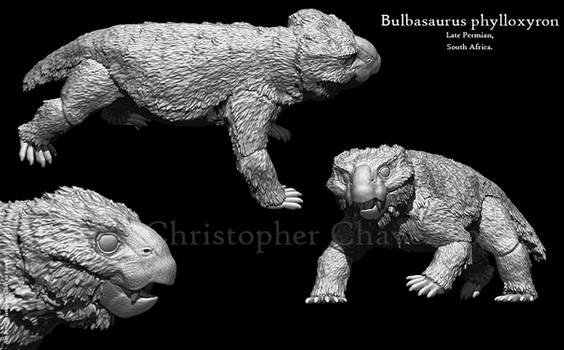 Bulbasaurus phylloxyron