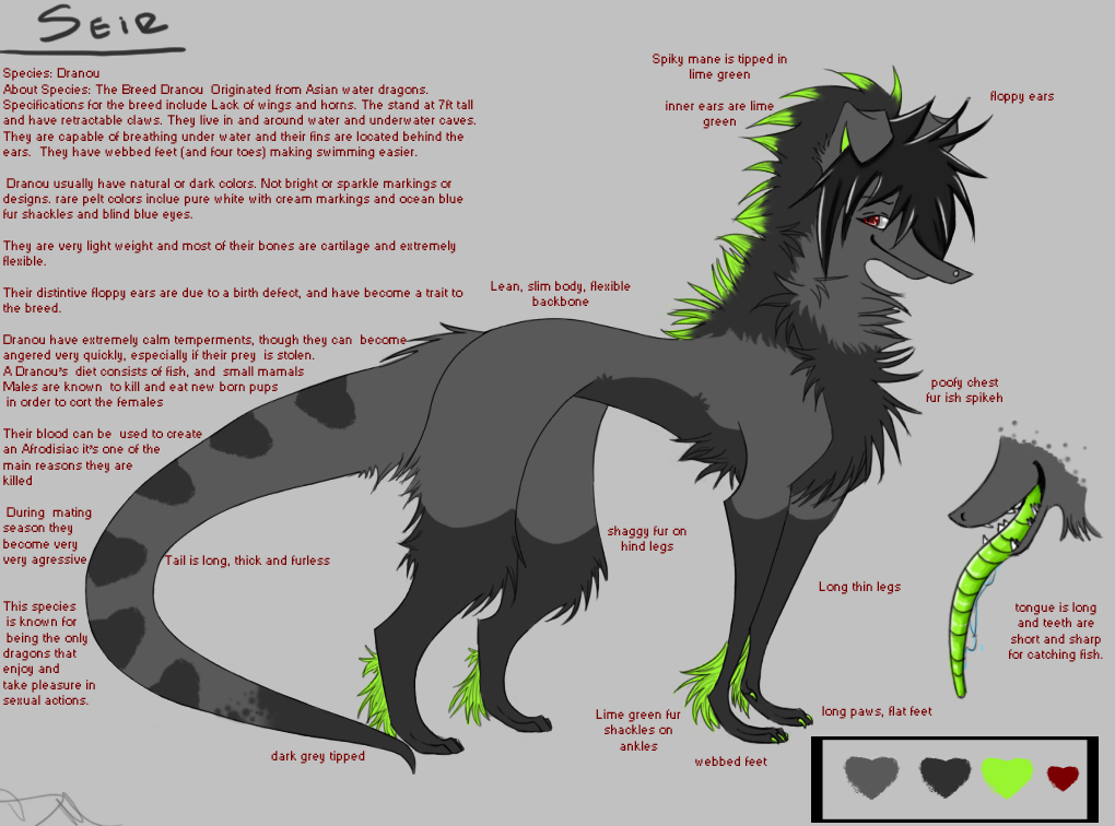 Dragon sona Species Ref