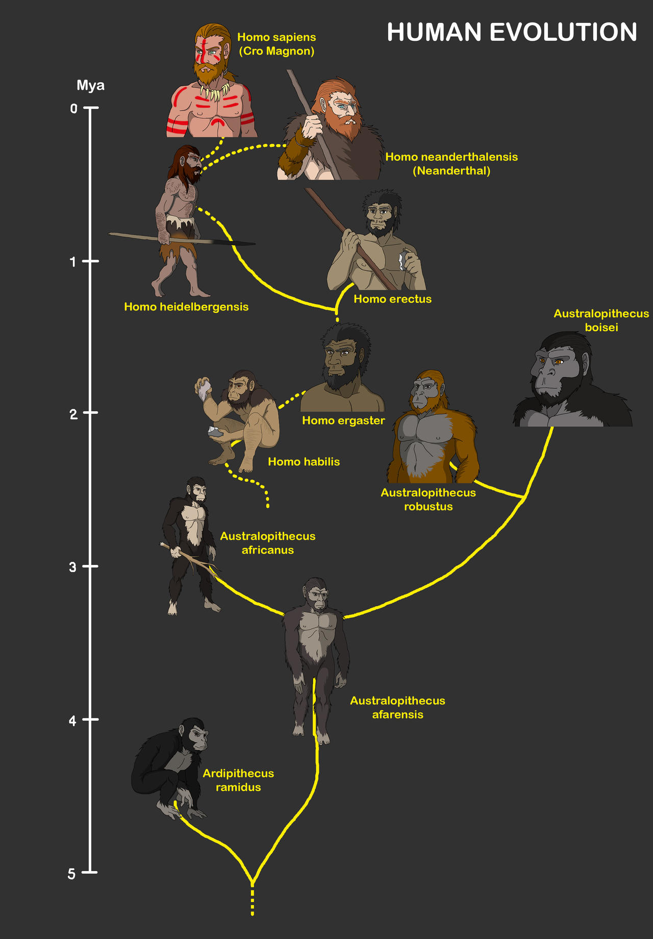 Human Evolution by shipputomas on DeviantArt