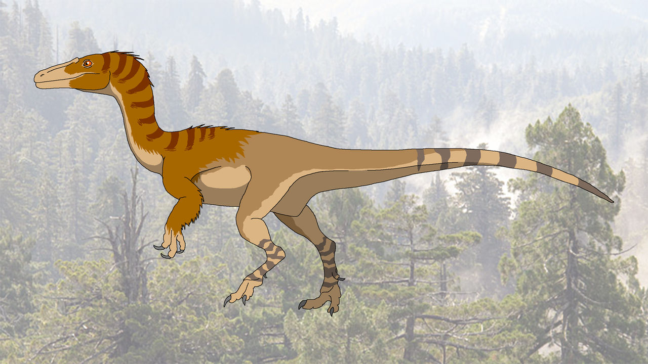Coelurus Deviantart Coelurus by shipputomas on DeviantArt