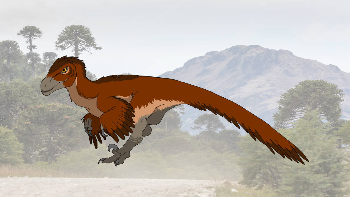 Utahraptor by shipputomas on DeviantArt